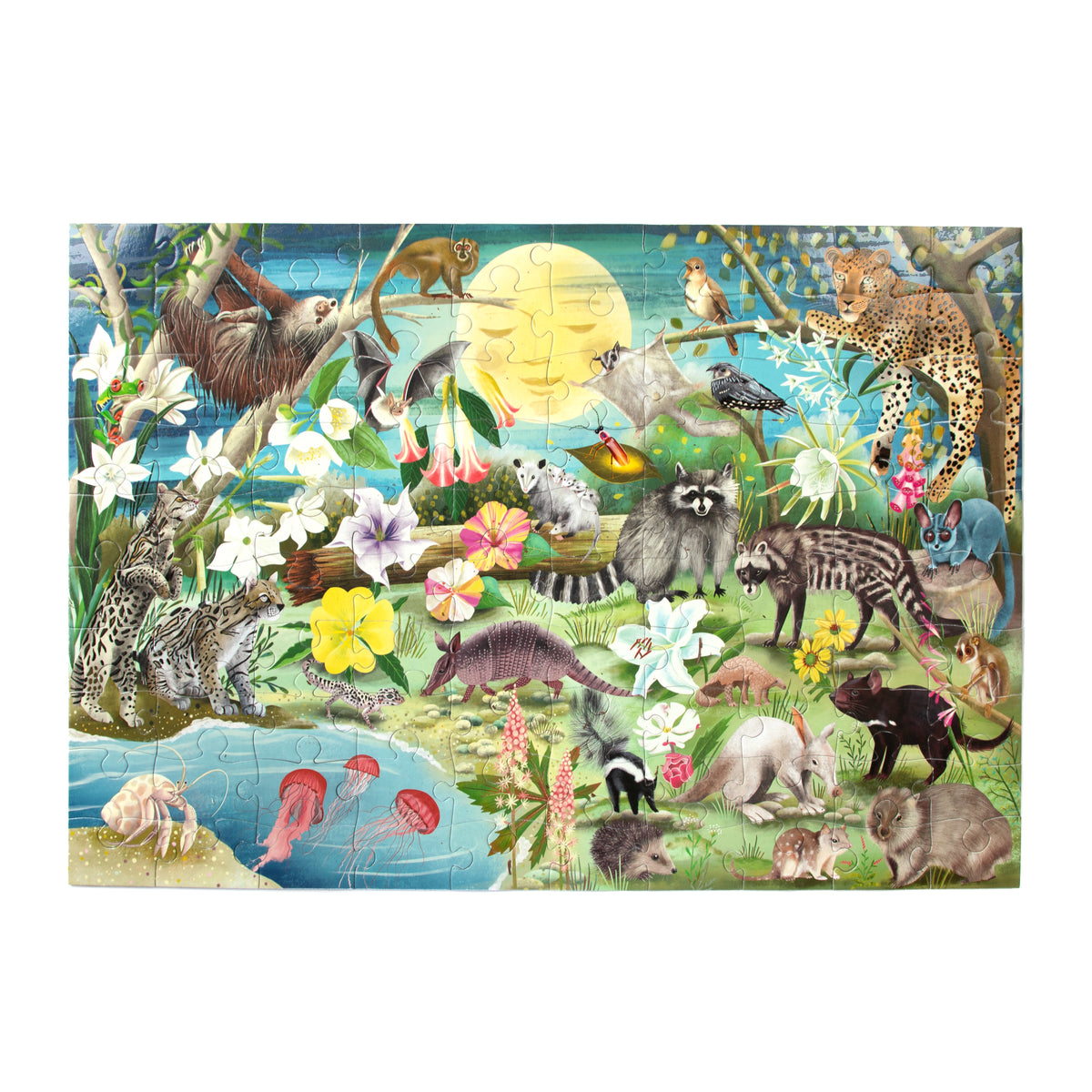 eeBoo - Puslespil 100 brk - Selvlysende nattedyr