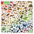eeBoo - Puslespil 1000 brk - A Rainbow World
