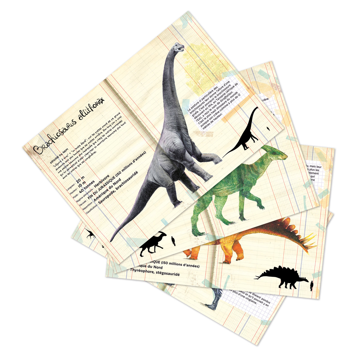 Vilac - Magneter 21 stk - Dinosaurer fra Naturhistorisk Museum