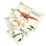 Vilac - Magneter 21 stk - Dinosaurer fra Naturhistorisk Museum